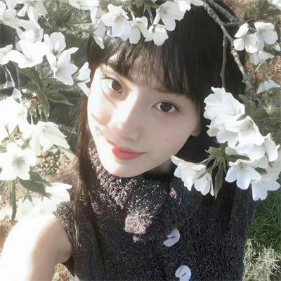 王国：北方的阿信